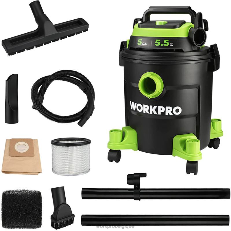 WORKPROAspirateur d'atelier de 5 gallons, aspirateur d'atelier d'une puissance maximale de 5,5 chevaux avec filtre HEPA, tuyau et accessoires N4DL214 outil WORKPROAspirateur d'atelier de 5 gallons, aspirateur d'atelier d'une puissance maximale de 5,5 chevaux avec filtre HEPA, tuyau et accessoires N4DL214 outil